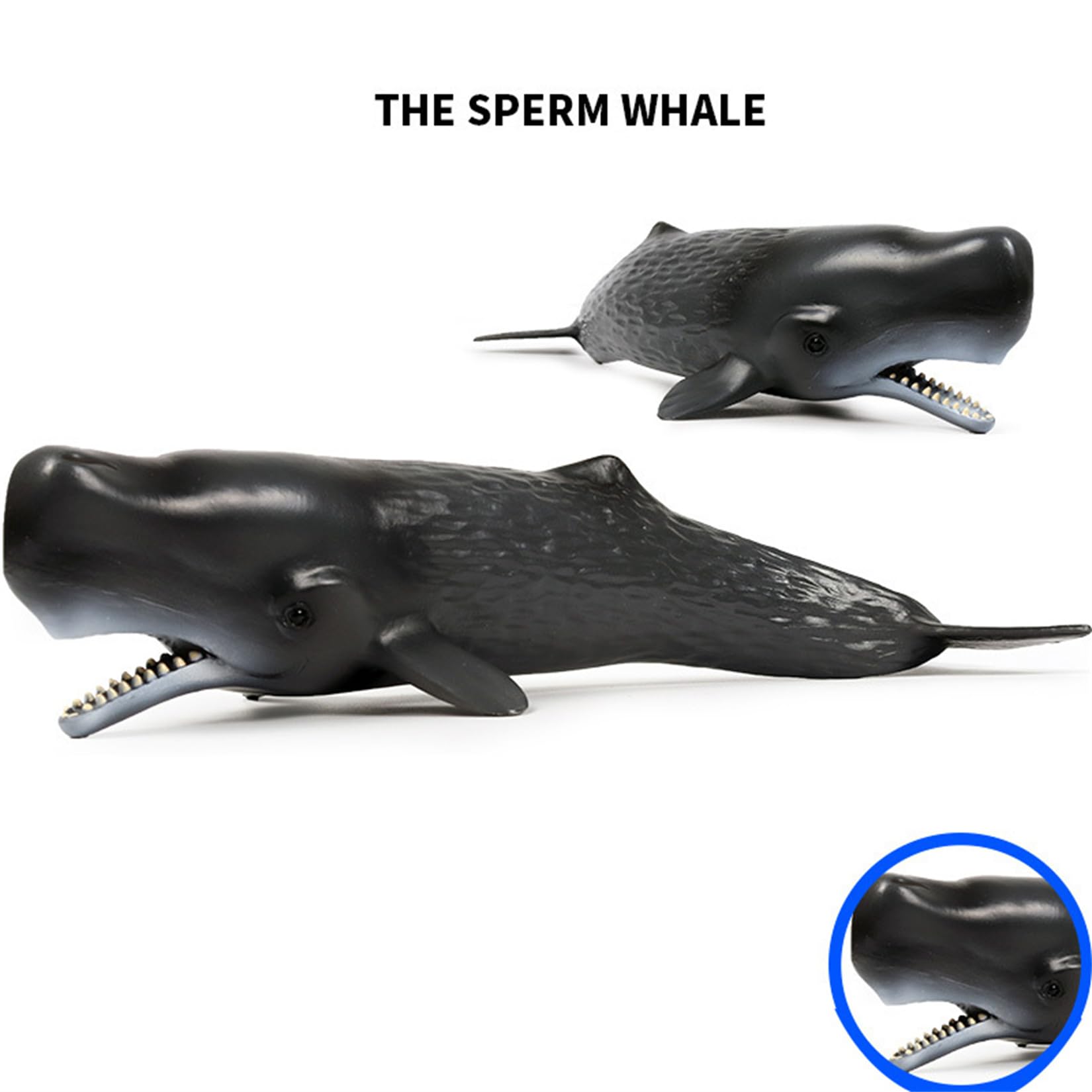 Amazon | EUHELOPA マッコウクジラ フィギュア 24cm級 鯨類 海洋動物